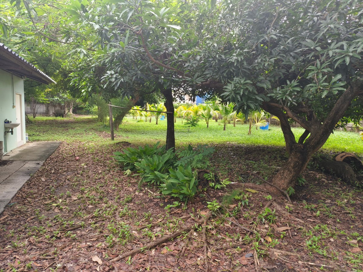 picture 2-rai vacant land for sale behind Major Ratchayothin, Soi Phahon Yothin 35. Multiple access points. Beautiful plot. - 5/8