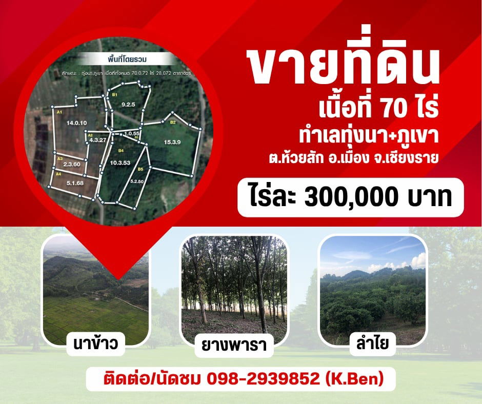 รูป ขายด่วนที่ดินทำเกษตร วิวดี ทำเลสวย ติดเขา - รูปที่ 1/1