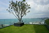 listing thumbnail image 19