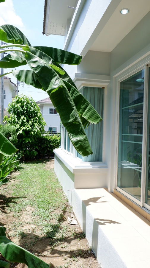 picture House for RENT! Close to Town near Big-C shopping mall, Central Festival, Fresh Market and etc.📍Location: Pimuk 4 Village - 4/15