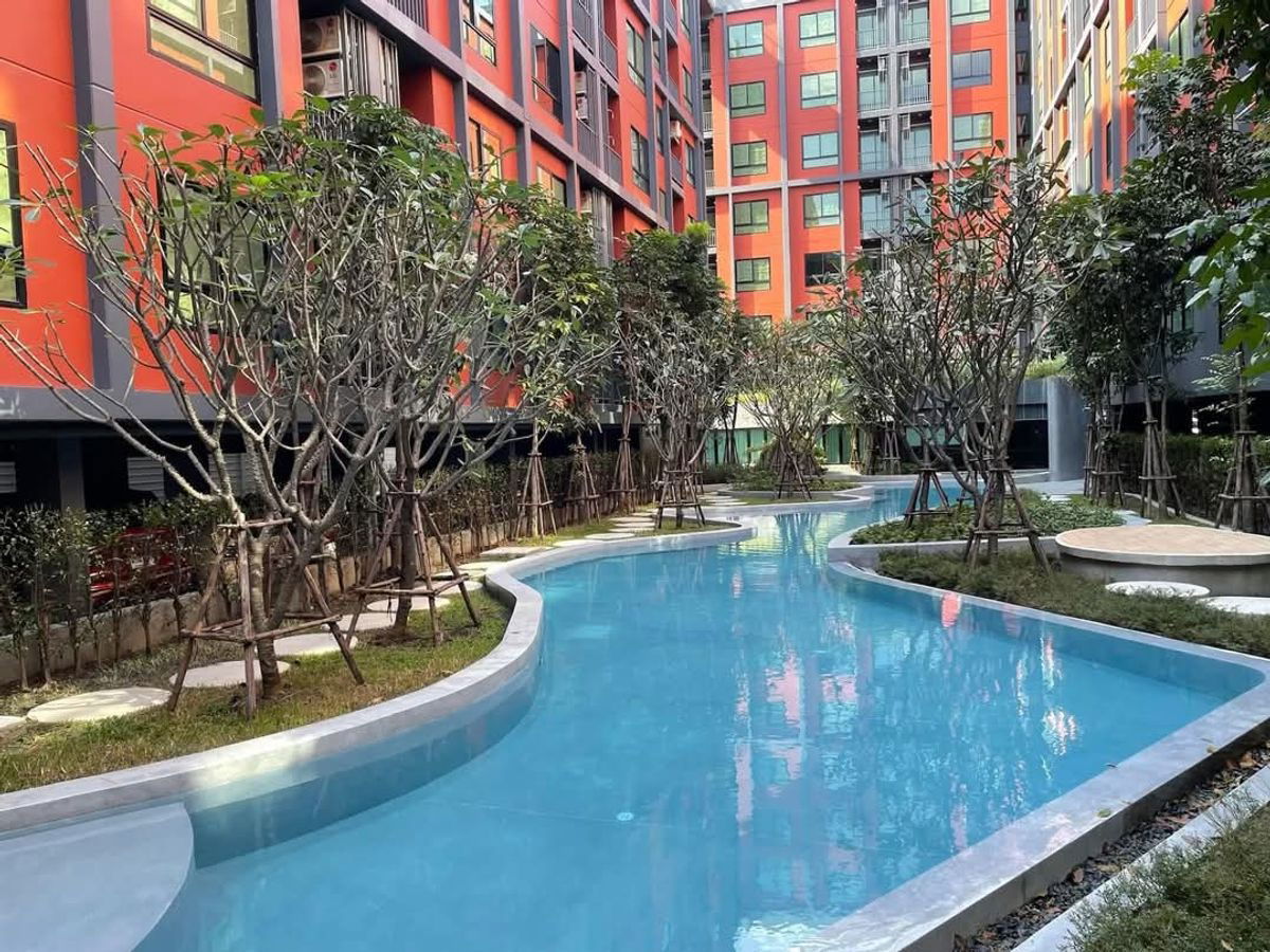 picture For Rent Condo Monte Rama 9 Near MRT Ramkhamhaeng  Rental free 11500- - 14/15