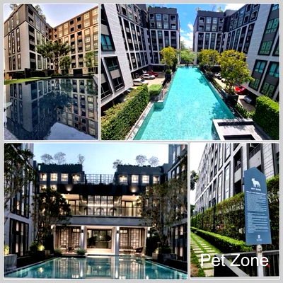 Condos for rent Ratchadapisek 19 : HotDeal​🔥🔥  For Rent​ | Prime Location and Special Price, Condo at Maestro 19 Ratchada 19 - Vipha MD-83488