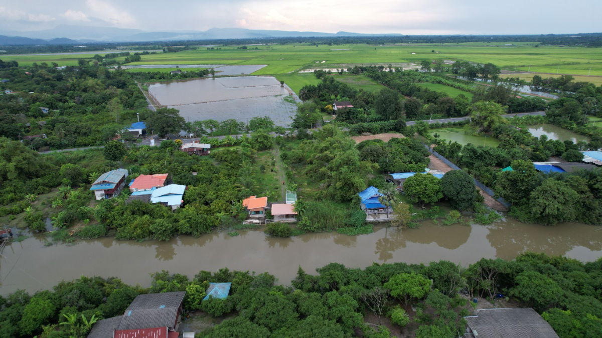 รูป ขายที่ดิน 383 ตารางวา ติดแม่น้ำนครนายก มีโฉนด ติดถนนหลวง - รูปที่ 10/19