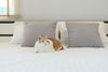 listing thumbnail image 17