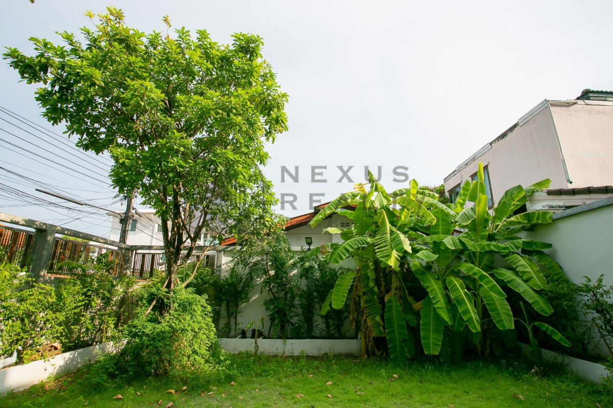 picture ✨Luxury Teakwood House for Rent near MRT Ratchadaphisek – Cozy Living, Prime Location✨ - 70/75