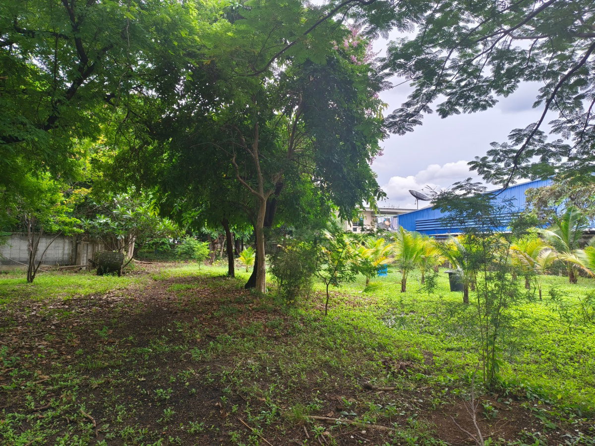 picture 2-rai vacant land for sale behind Major Ratchayothin, Soi Phahon Yothin 35. Multiple access points. Beautiful plot. - 2/8
