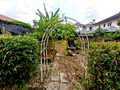 Land for sale : Urgent Sale Below Market Price! Land with Building – 123 sq.wah (Approx. 492 sqm) Only 45,000 THB per sq.wah!