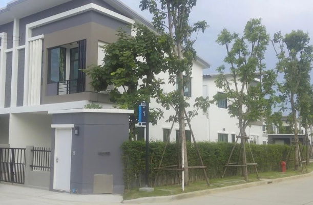 picture For Rent The Trust Ratchapruek Rattanathibet Address 95/54 - 11/19