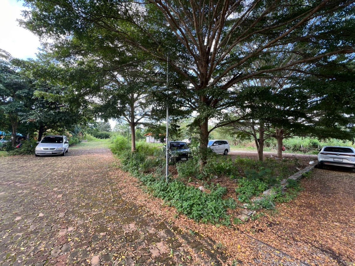 รูป ขาย ที่ดิน เขาใหญ่ ใกล้ถนนธนะรัชต์ พื้นที่ 4 เหลี่ยม วิวเขา  - รูปที่ 10/13