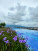 listing thumbnail image 12
