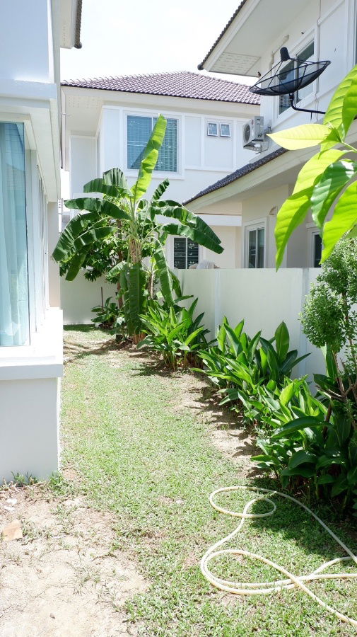 picture House for RENT! Close to Town near Big-C shopping mall, Central Festival, Fresh Market and etc.📍Location: Pimuk 4 Village - 6/15