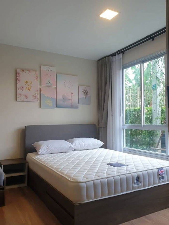 picture  𝗗𝗰𝗼𝗻𝗱𝗼 𝘁𝗮𝗻𝗻 𝗖𝗵𝗮𝗿𝗮𝗻 for rent ✨ Fully furnished - 1/8