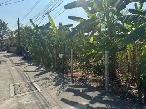 picture 17/9 Pak Nam Krajom Thong Road Land not far from the main road. - 2/2