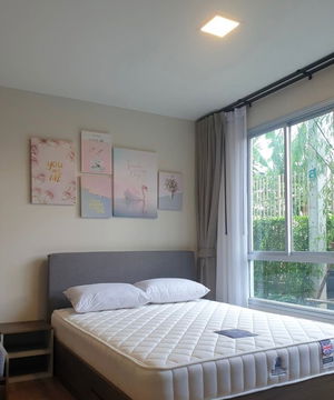 For rent: D Condo Thar Charan, beautiful, cheap, ready to move in, near Siriraj Hospital. Interested? Add me on Line @841qqlnr
