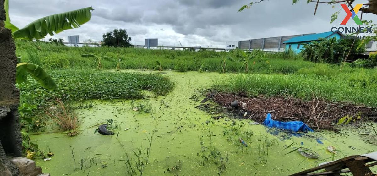 picture For Sale Land , National Housing Authority Nakorn 2 Village , river view , wide frontage , Lat Krabang , Lat Krabang , Bangkok , CX-131256 ✅ Live chat with us ADD LINE @connexproperty ✅  - 7/8