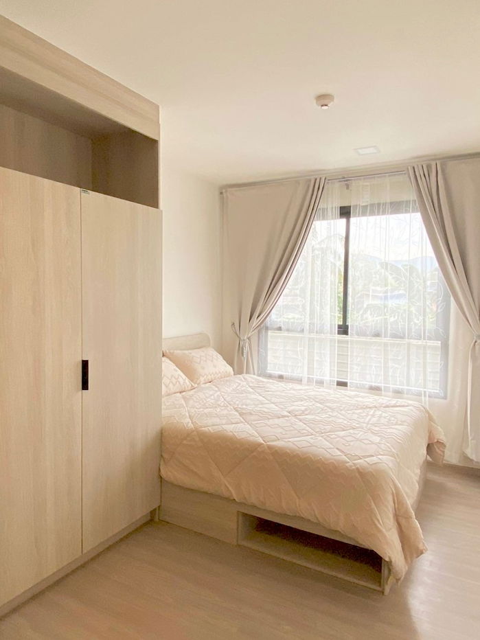 picture Dcondo Reef Kathu for rent. 15,000/month 28sq.m 1bedroom - 2/14