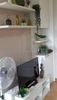 listing thumbnail image 2