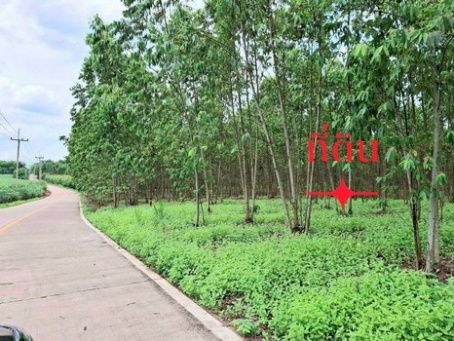 picture Prime Land for Sale on Theparak–Lat Krabang Road, 51-1-167 Rai, Bang Bo, Samut Prakan - 5/12
