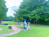 listing thumbnail image 19