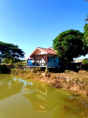 ที่ดิน อุดรธานี : ขายที่ดินทำเลทอง 20 ไร่ ตำบลสีออ อำเภอกุมภวาปี จังหวัดอุดรธานี