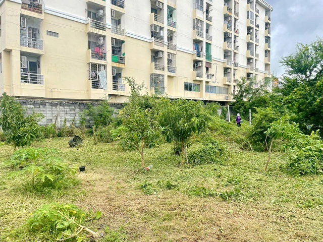 picture Onnut 40-50 Land for sale 3rai 1ngan 48sq.wa. Sukhumvit Rd.77 MRT Srinuch 800m. 114.41million baht - 1/8