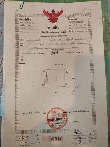 รูป ขายที่ดินพร้อมสิ่งปลูกสร้าง บ้านเรือนไทย โฉนดที่ดิน ครุฑแดง อำนาจเจริญ - รูปที่ 8/10