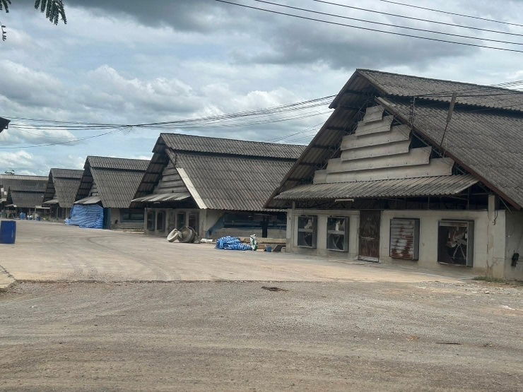รูป ขายฟาร์มหมูราชบุรี เจ้าของขายเอง - รูปที่ 1/10