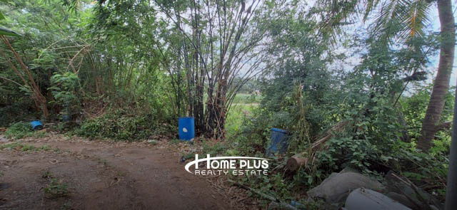 รูป ที่ดินพร้อมบ้านในตำบลรางหวาย อำเภอพนมทวน กาญจนบุรี - รูปที่ 10/24