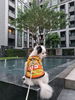 listing thumbnail image 7