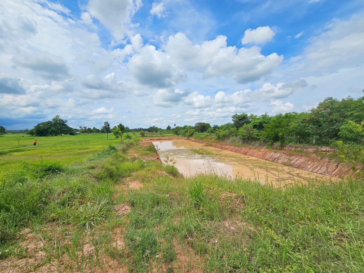 picture Land area 7 rai, only 15 minutes from Khon Kaen city, Ban Nong Kung, Mueang Khon Kaen, special price - 10/11