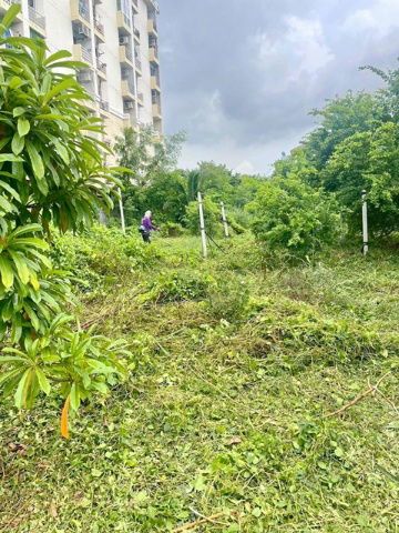picture Onnut 40-50 Land for sale 3rai 1ngan 48sq.wa. Sukhumvit Rd.77 MRT Srinuch 800m. 114.41million baht - 2/8