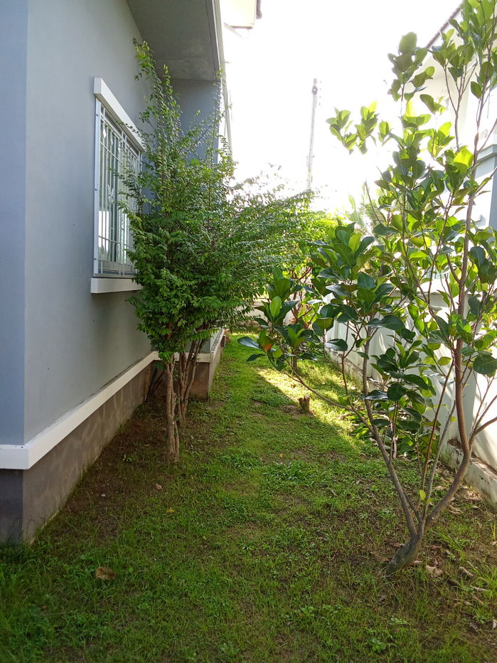 picture Chiang Mai, 3beds 4baths 2Storeys house for sale - 8/13
