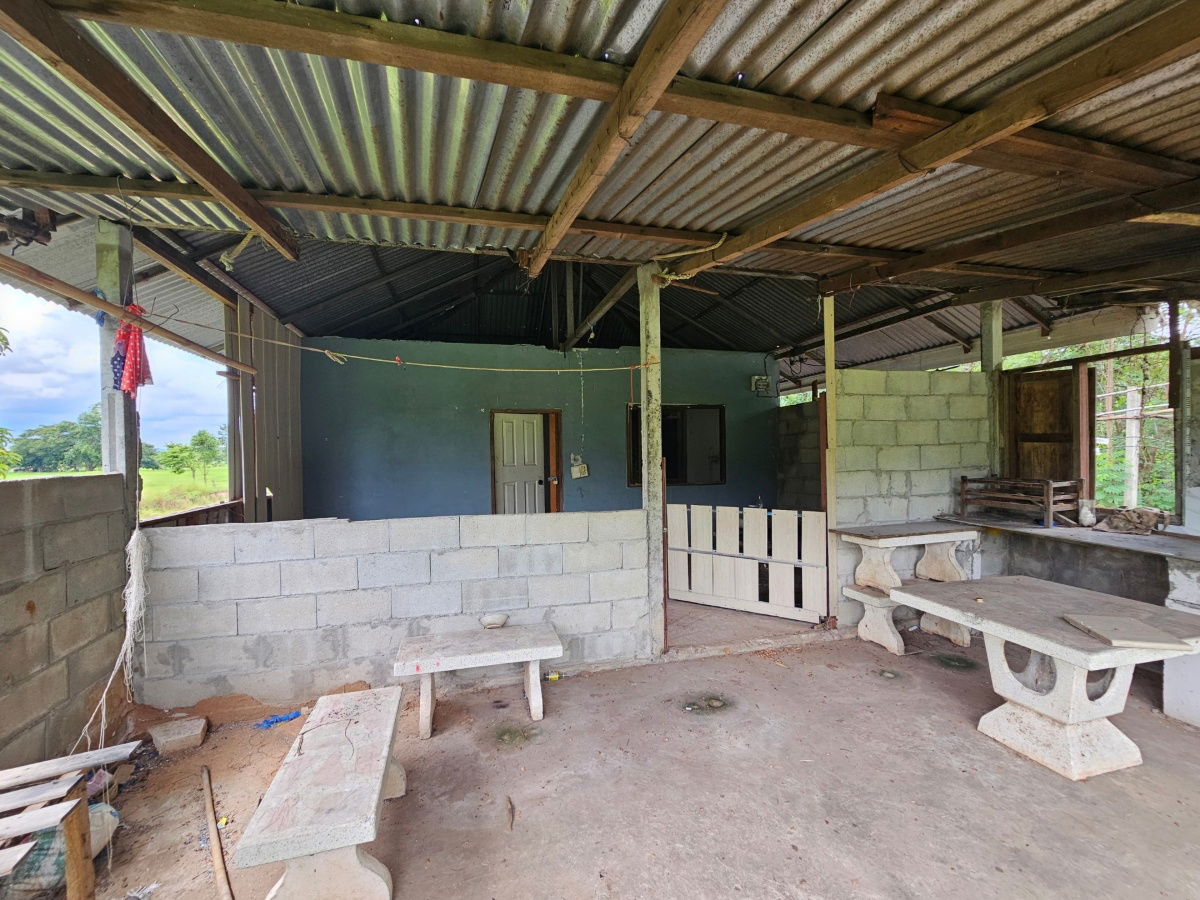 picture Land area 7 rai, only 15 minutes from Khon Kaen city, Ban Nong Kung, Mueang Khon Kaen, special price - 7/11