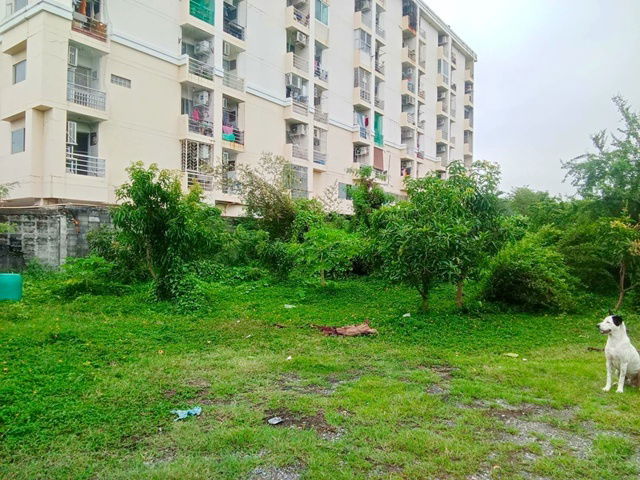 picture Onnut 40-50 Land for sale 3rai 1ngan 48sq.wa. Sukhumvit Rd.77 MRT Srinuch 800m. 114.41million baht - 4/8
