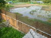 listing thumbnail image 23