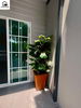 listing thumbnail image 11