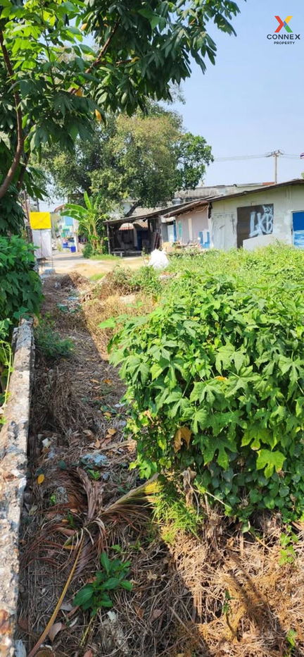 picture For Sale Land , National Housing Authority Nakorn 2 Village , river view , wide frontage , Lat Krabang , Lat Krabang , Bangkok , CX-131256 ✅ Live chat with us ADD LINE @connexproperty ✅  - 4/8