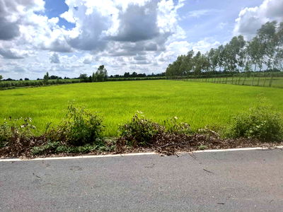 ที่ดิน เดิมบางนางบวช สุพรรณบุรี : ที่ดินสุพรรณบุรี เดิมบางนางบวช ติดถนนลาดยาง