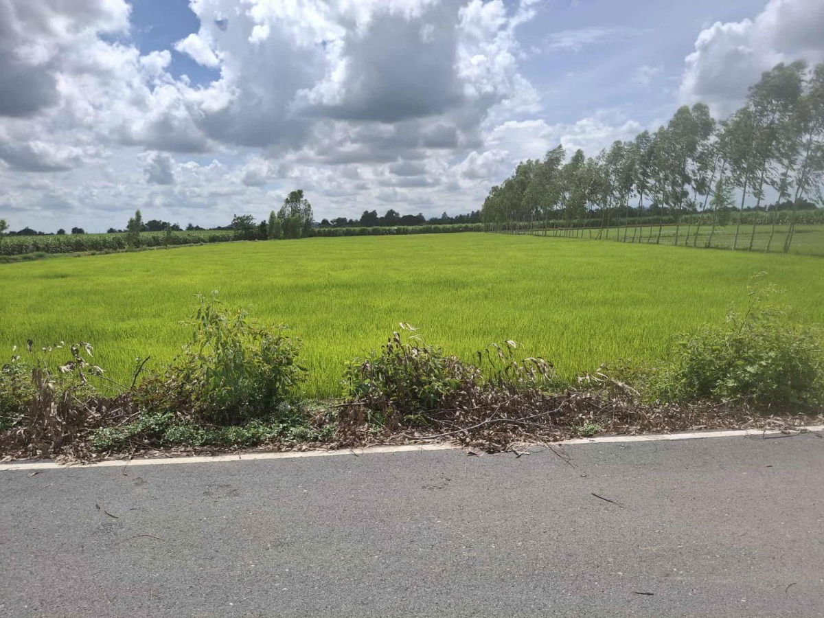 รูป ที่ดินสุพรรณบุรี เดิมบางนางบวช ติดถนนลาดยาง - รูปที่ 1/4