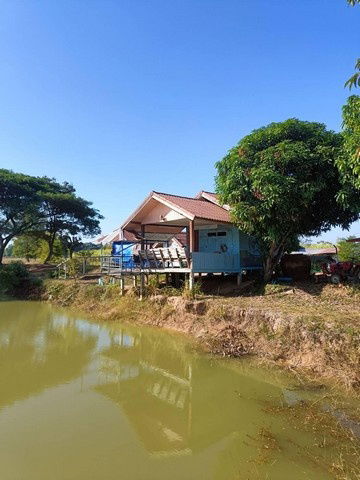 รูป ขายที่ดินทำเลทอง 20 ไร่ ตำบลสีออ อำเภอกุมภวาปี จังหวัดอุดรธานี - รูปที่ 1/1
