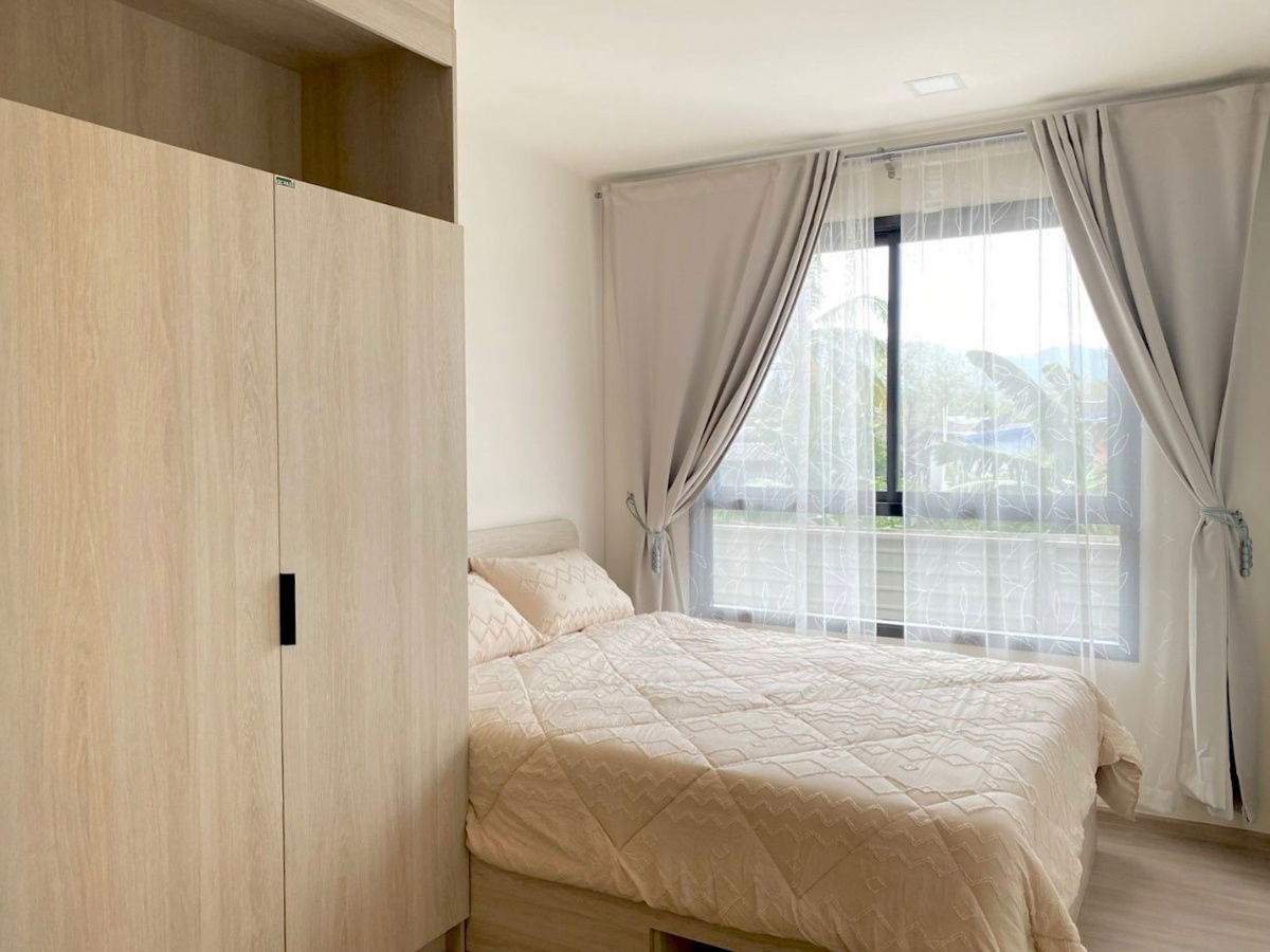 picture Dcondo Reef Kathu for rent. 15,000/month 28sq.m 1bedroom - 6/14