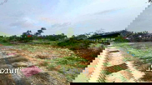6 Rai 2 Ngan 33 SQ.W. Land In Soi Khaomakok
