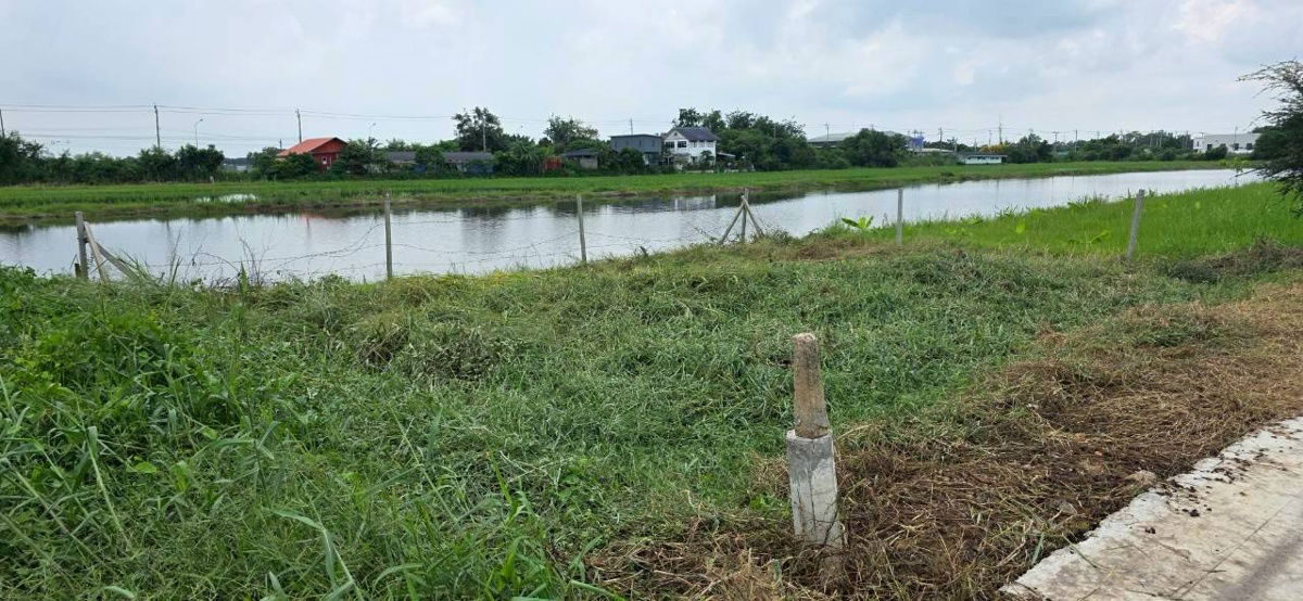 รูป ที่ดินสำหรับปลูกบ้าน 60 ตรว. ถนน ไฟฟ้า ประปา ท่อระบาย หน้าแปลง - รูปที่ 13/13