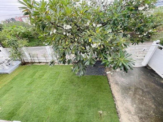 picture FOR RENT DETACHED HOUSE LADPRAO 107 / 3 bedrooms 3 bathrooms / 80 Sqw. 250 Sqm. **35,000** CLOSE TO THE MALL BANGKAPI - 13/15