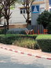 listing thumbnail image 5