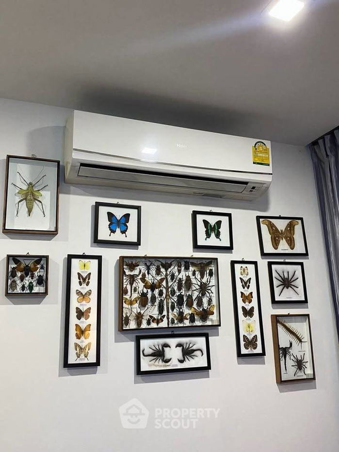 รูป คอนโด 2-ห้องนอน ที่ สยาม โอเรียลทัล พลาซ่า ใกล้ ถนนพระตำหนัก พัทยา (ID 2310278) - รูปที่ 13/19