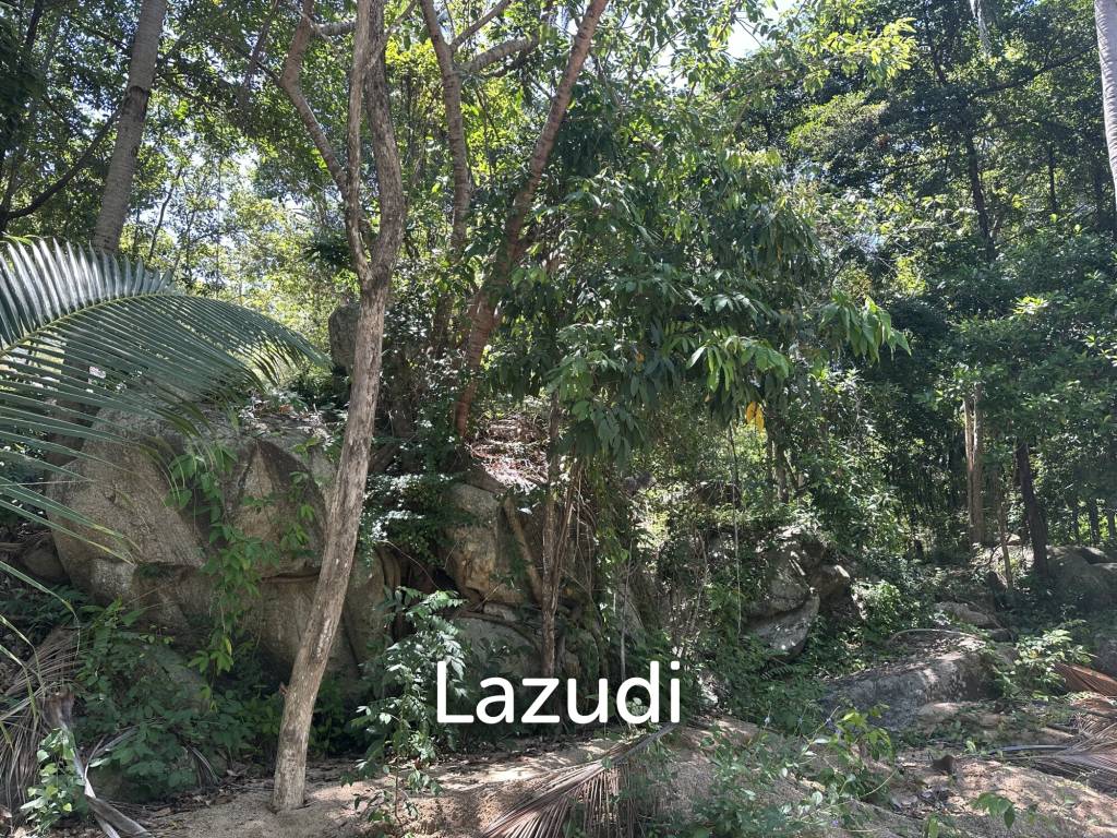 picture Sea View Land for Sale – Challok Area - 3/3