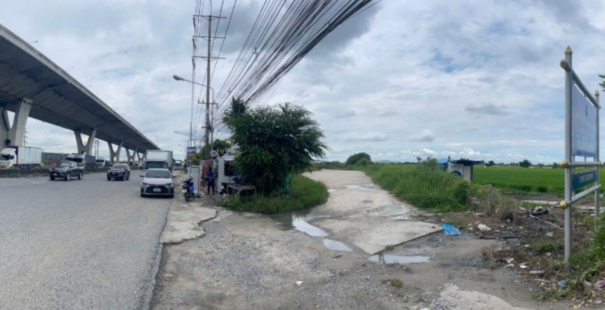 รูป ขายที่ดินเปล่า 30 ไร่ 29 ตร.ว. บางปะกง ติดถนนใหญ่บางนา-ตราด กม.37 ใกล้ Wellgrow Industrial Estate - รูปที่ 4/4