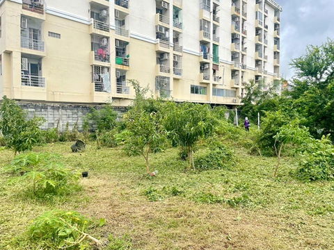 Onnut 40-50 Land for sale 3rai 1ngan 48sq.wa. Sukhumvit Rd.77 MRT Srinuch 800m. 114.41million baht