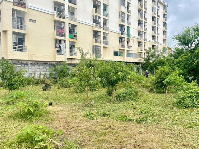 picture Onnut 40-50 Land for sale 3rai 1ngan 48sq.wa. Sukhumvit Rd.77 MRT Srinuch 800m. 114.41million baht - 1/8